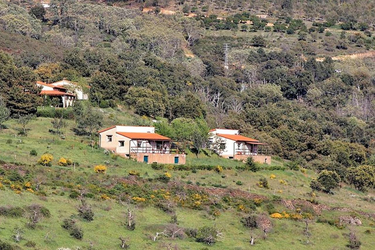 Cielo Abierto Apartment Berzocana Bagian luar foto